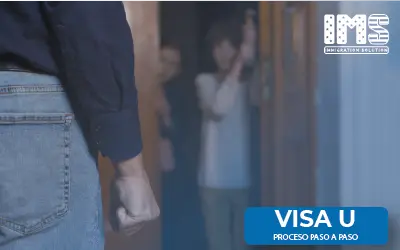 Visa U-Proceso Paso a Paso