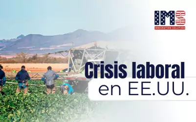 Redadas, miedo y despidos: así perdió EE.UU. más de 1,2 millones de inmigrantes en su fuerza laboral